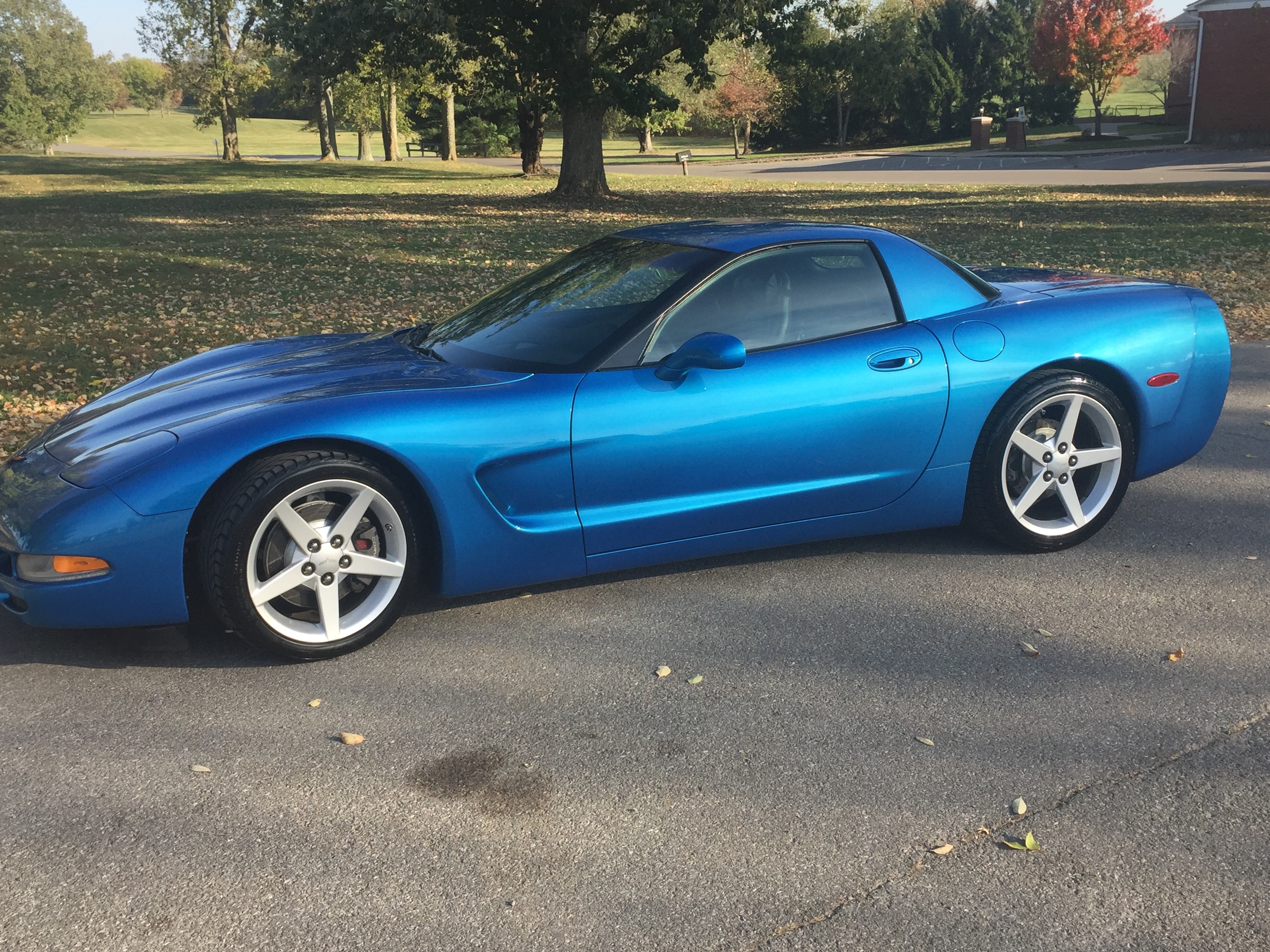 Nassau Blue Corvette 25