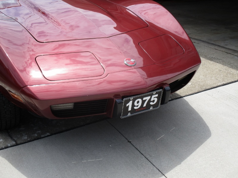 Name:  Corvette June 17 004 (800x600).jpg
Views: 1293
Size:  202.1 KB