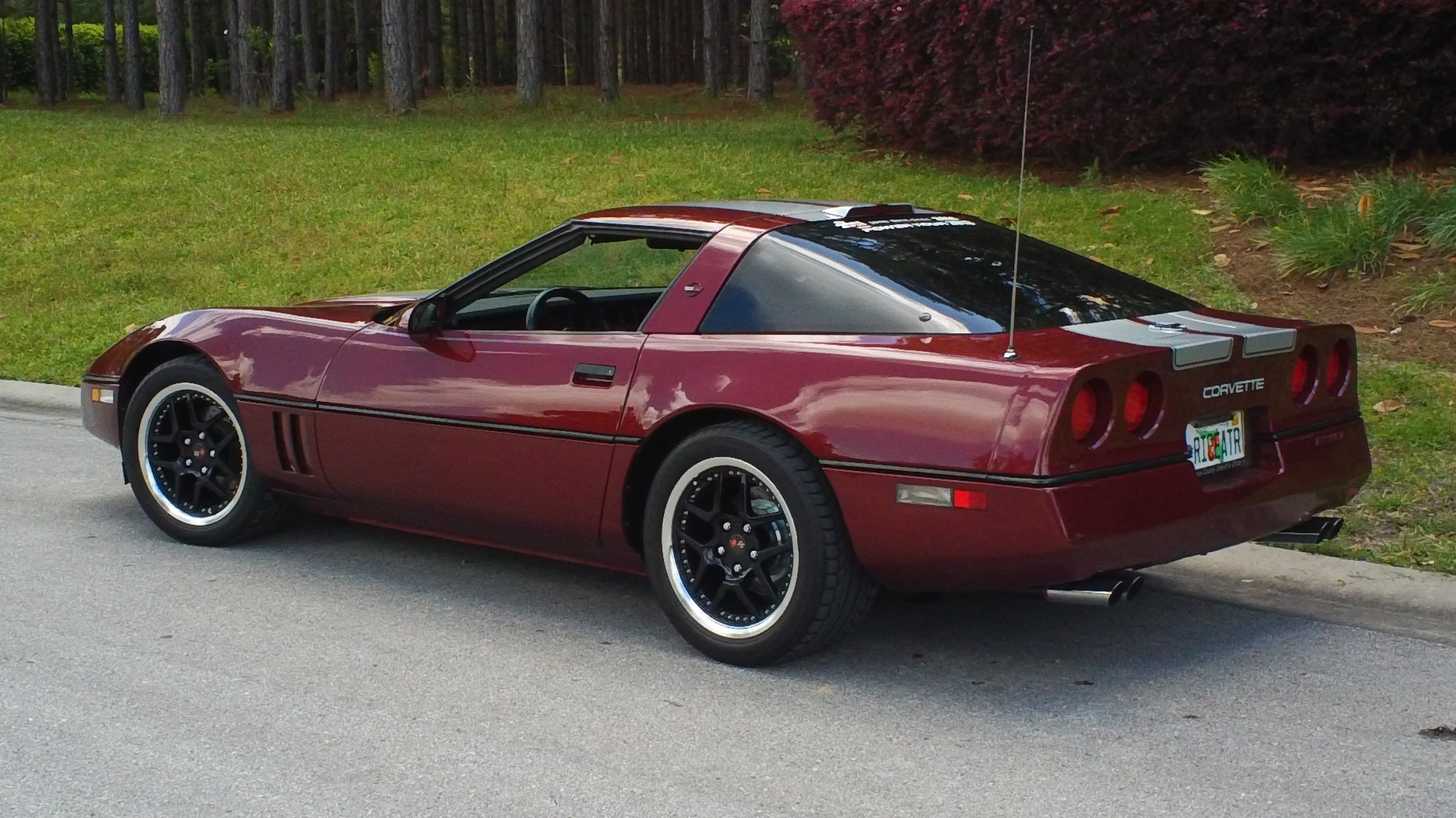Name:  Corvette2014-04-26006.jpg
Views: 16936
Size:  661.7 KB