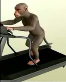 Name:  monkey.jpg
Views: 1413
Size:  10.2 KB