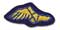 Wingfoot's Avatar