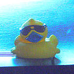 rubber duck's Avatar