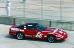 1993 Vette's Avatar