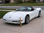 Dragon-Vette's Avatar