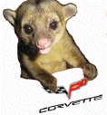 Kinkajou's Avatar