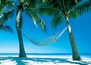 island14's Avatar