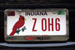 dg144's Avatar