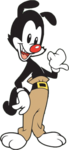 Yakko's Avatar