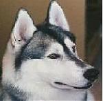 Old Coot's Avatar