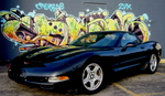 BlackBeast 1997's Avatar