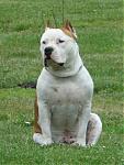 Ms. Prissy's Avatar