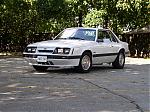 Mustang Fan's Avatar