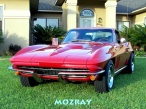 Moz Ray's Avatar
