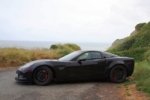 McDaniel's Avatar