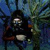 Scuba Driver's Avatar