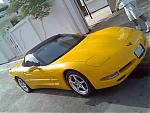 Yellow-Devil's Avatar