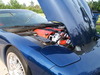 Blown_2001Z06's Avatar