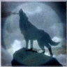 northernwolf75's Avatar