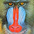sweetbaboon's Avatar
