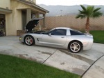 cali vette's Avatar