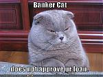 Banker Cat's Avatar