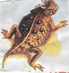 txtode's Avatar