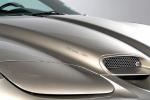 Eatin.Ur.Vette's Avatar