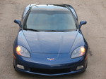 Caeruleus Diabolus's Avatar