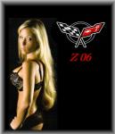 Knowles's Z06's Avatar