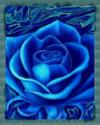 bluerose's Avatar