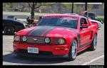 Mustang Dave's Avatar