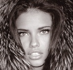 Nofreee's Avatar