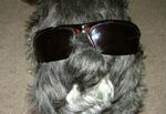 bosscogo's Avatar