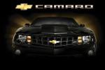 Camaro_Corvette's Avatar