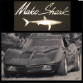Sharkey1807's Avatar