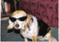 Bonesz51's Avatar