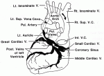 italdoc's Avatar
