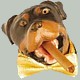 T78PWR's Avatar