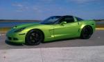 SNAKE SKIN GREEN C6's Avatar