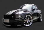 Mustangs FTW!'s Avatar