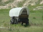 Jacque Wagon's Avatar