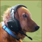 Zags's Avatar