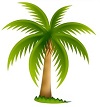 BahamaTodd's Avatar