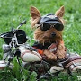 Pete525's Avatar