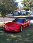 C54Rex's Avatar