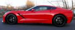 Our New Stingray's Avatar