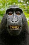 RCHASEME's Avatar