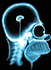 BobSWFL's Avatar