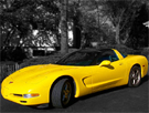 Vettevrooom's Avatar