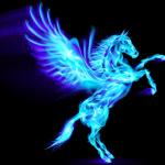 Pegaso's Avatar